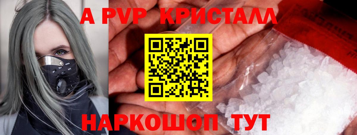 A PVP СК Владимир