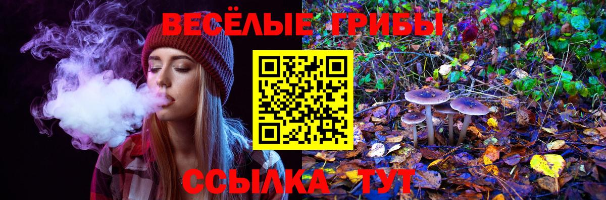 Владимир  Галлюциногенные грибы Magic Shrooms  Псилоцибиновые грибы MAGIC MUSHROOMS  Вход с VPN 