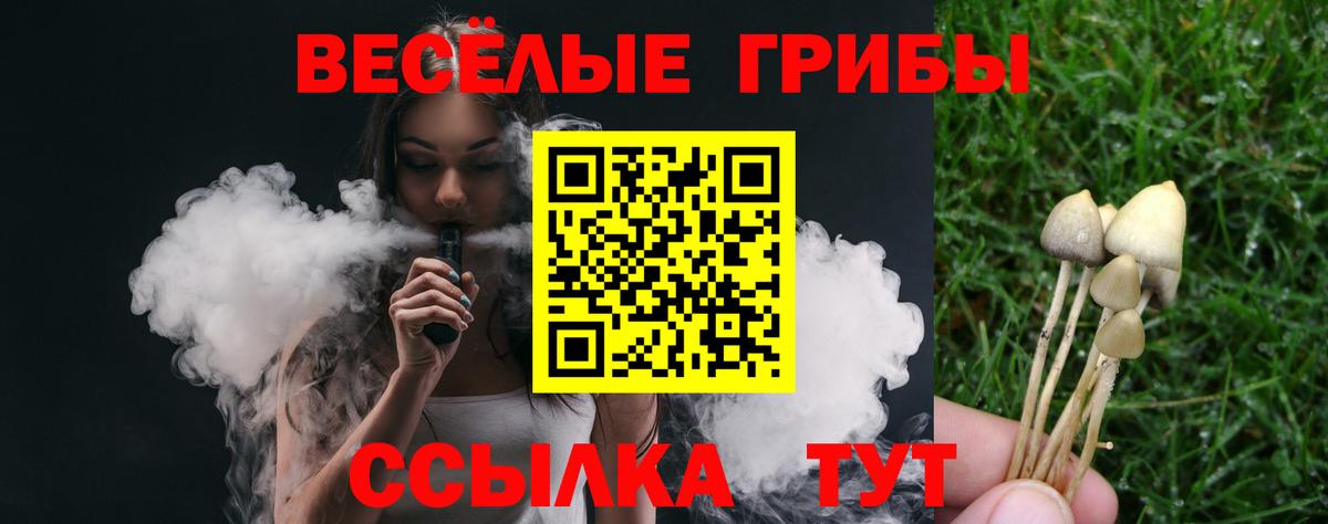 Псилоцибиновые грибы мухоморы Владимир
